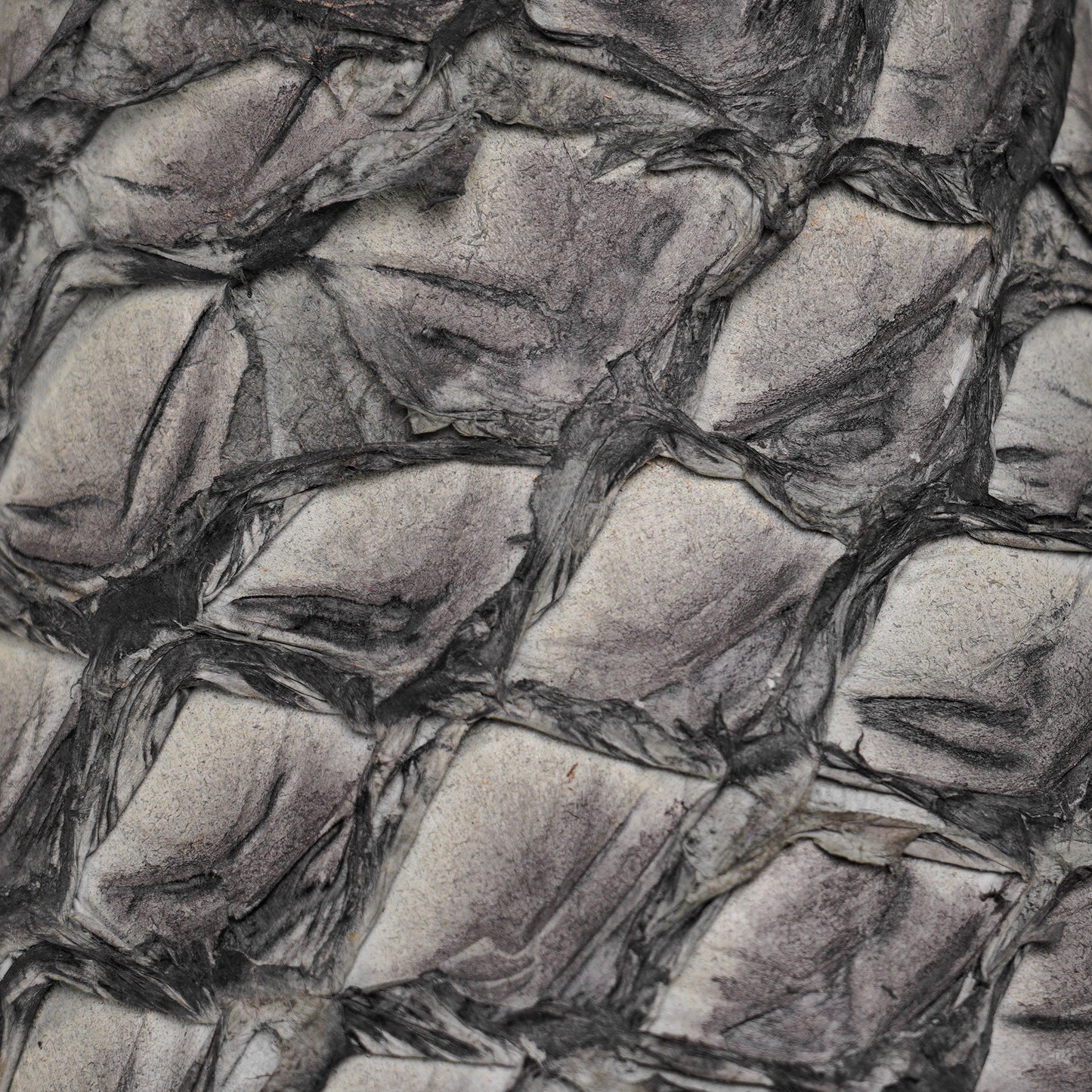 AUTHENTIC Gray Pirarucu – Square Toe